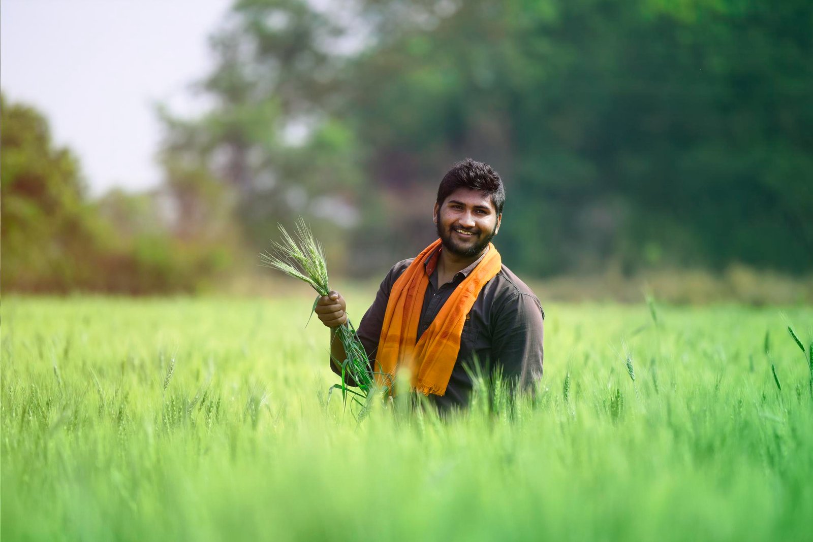 Smiling young farmer holding green wheat in lush field, rural agriculture in India