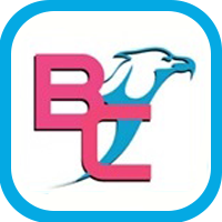 Bagkiya Construction Logo