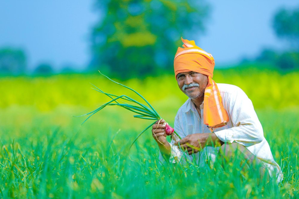 Smiling farmer in orange turban holding freshly pulled onion in lush green field