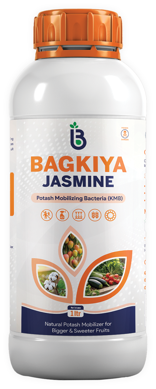 Bagkiya Jasmine Potash Mobilizing Bacteria (KMB), 1 litre natural potash mobilizer for bigger, sweeter fruits